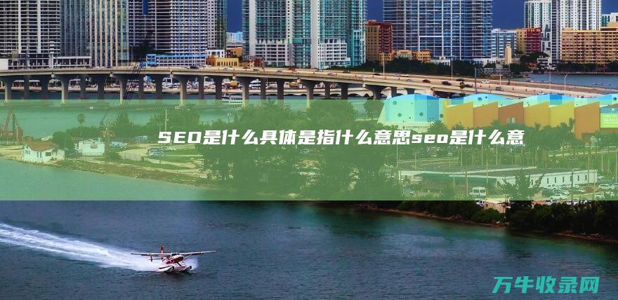 SEO是什么 具体是指什么 意思 (seo是什么意思啊)