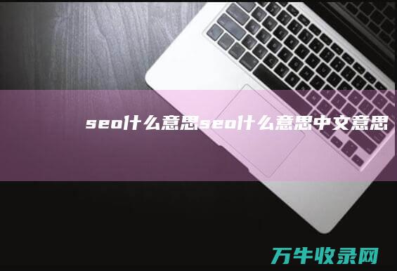 seo什么意思 (seo什么意思中文意思)