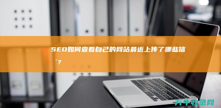 SEO如何查看自己的网站最近上传了哪些信息? (seo如何查找热门关键词信息的数量)